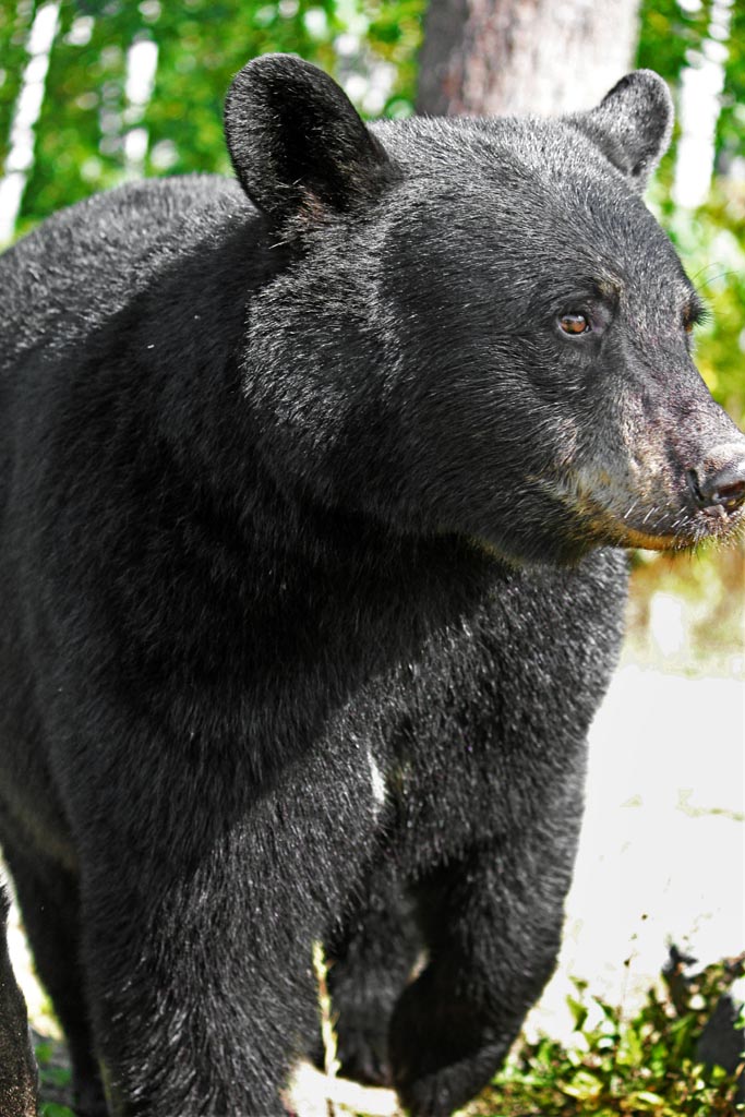 Summer - September 16, 2014