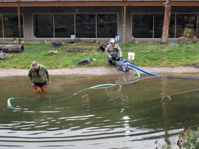 Pond Cleaning