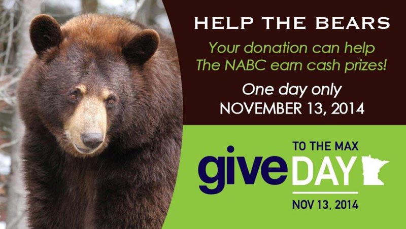 Give MN - November 13, 2014