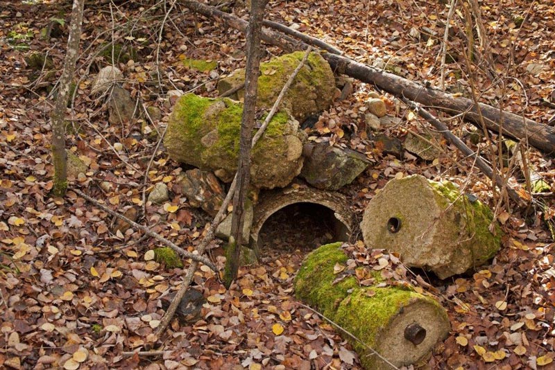 Jo's den from 2011-2012