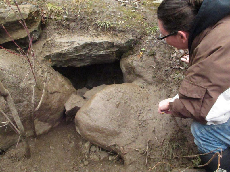 Heidi looks at Holly's Den