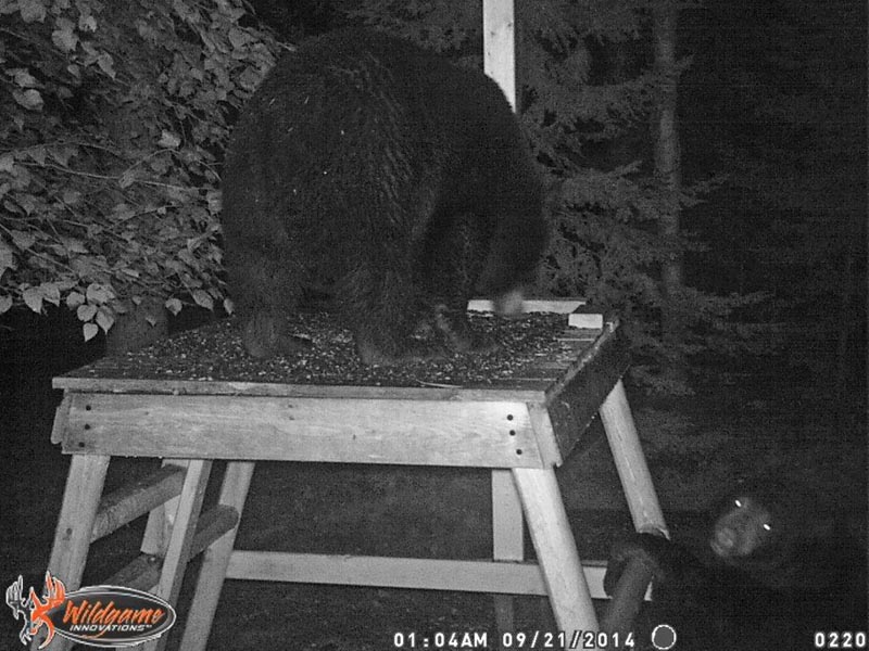 Lily & Ember September 21, 2014