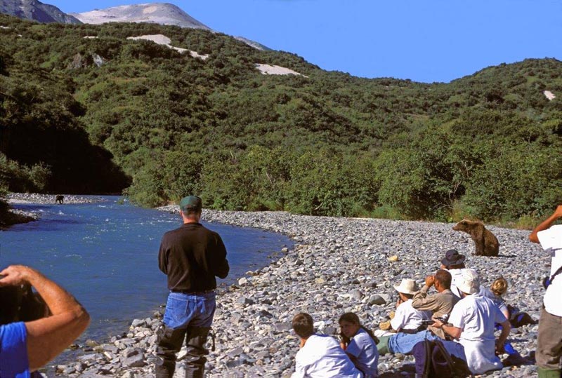 Bearwatching in Alaska