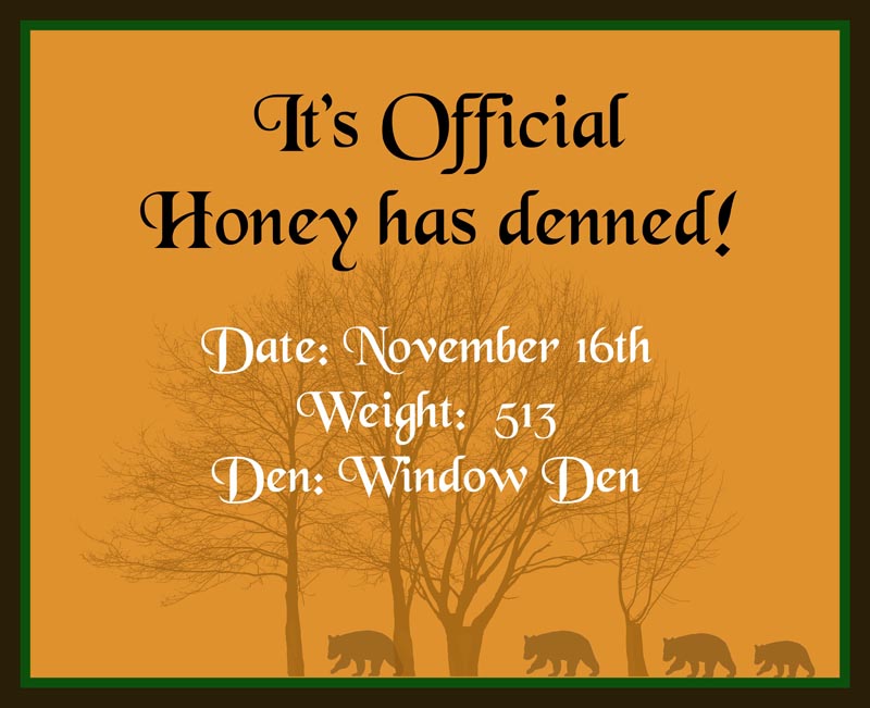 Honey has denned!