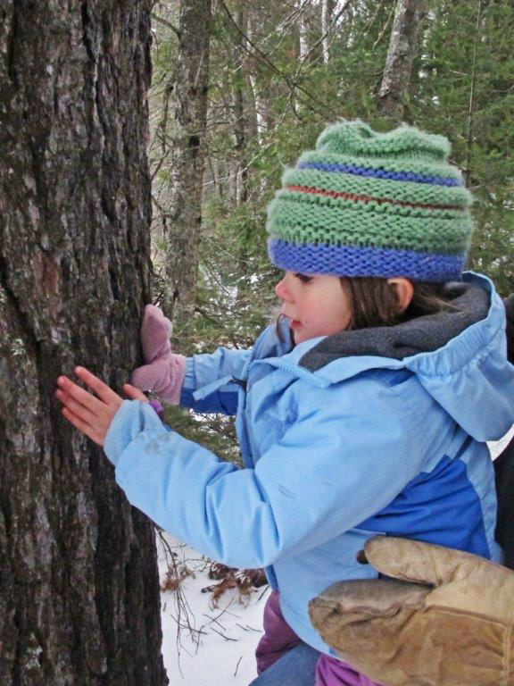 Gabrielle learning to identify trees