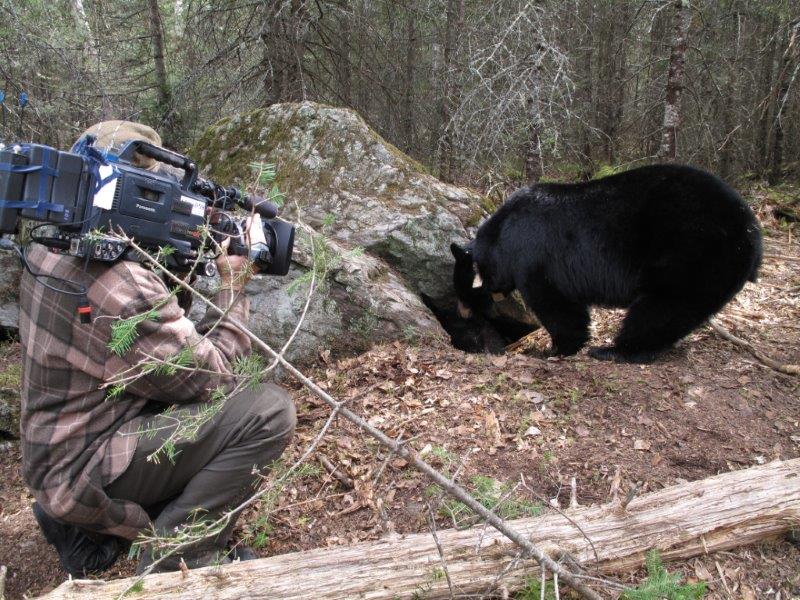 June - April 6, 2010