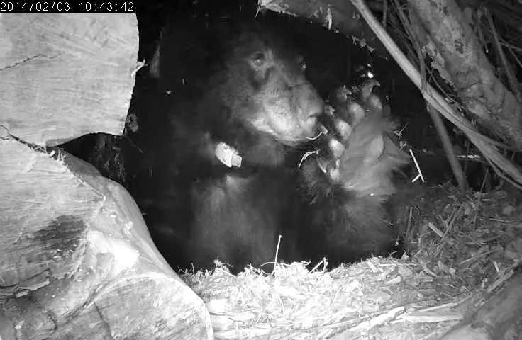 Juliet - February 3, 2014