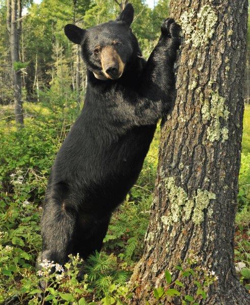 June - July 30, 2012