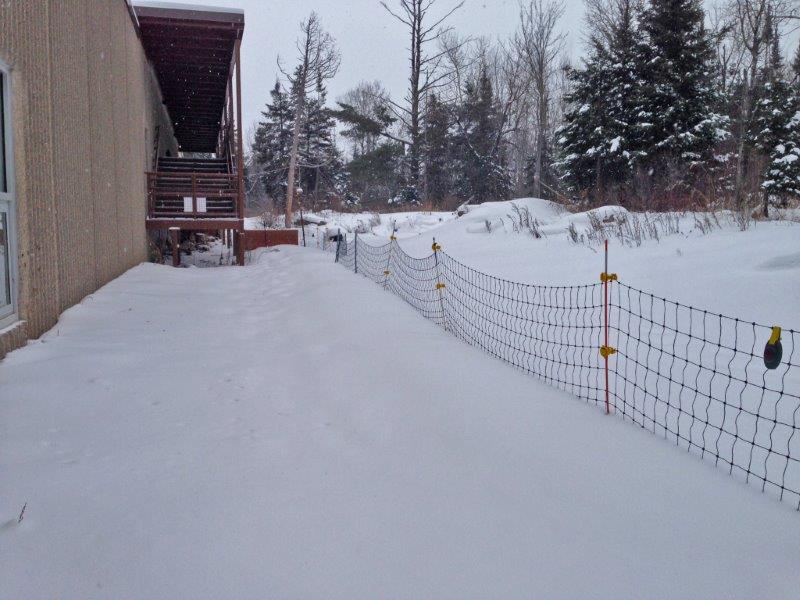 Looking toward honey's den