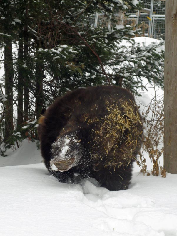 Walking away - 01-28-15