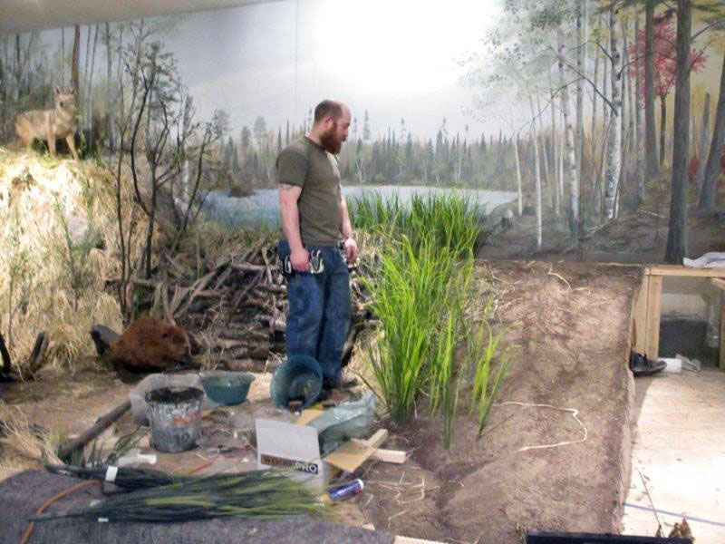 Working on the exhibit