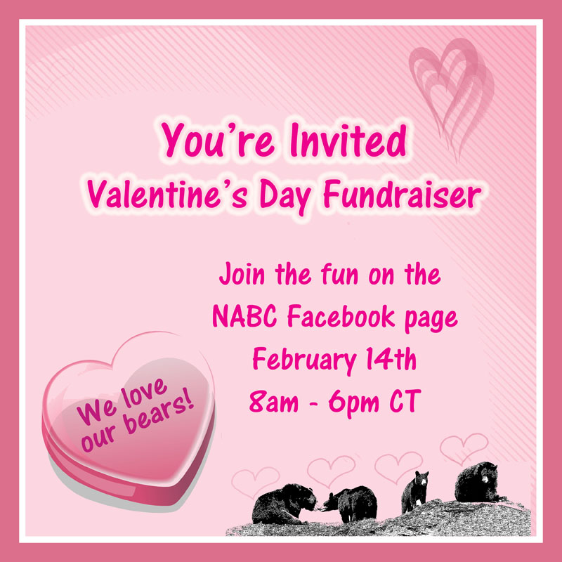 Valentine's Day Fundraiser