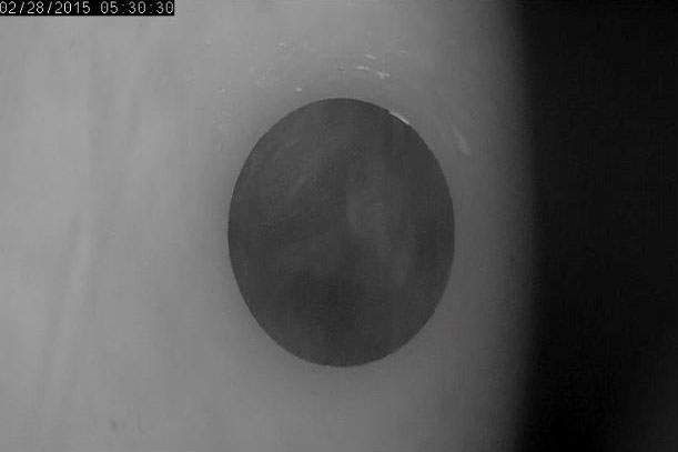 The view on Holly's Cam