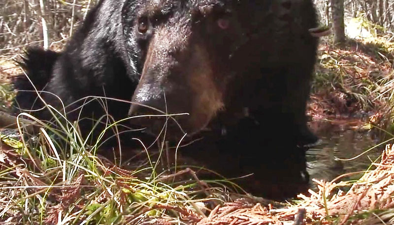 June cools off - 04-28-2009