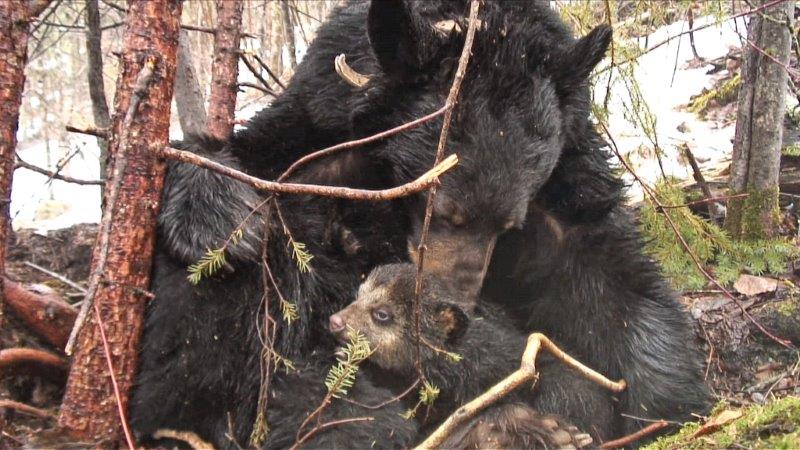 June drying off Lily - 03-25-2007