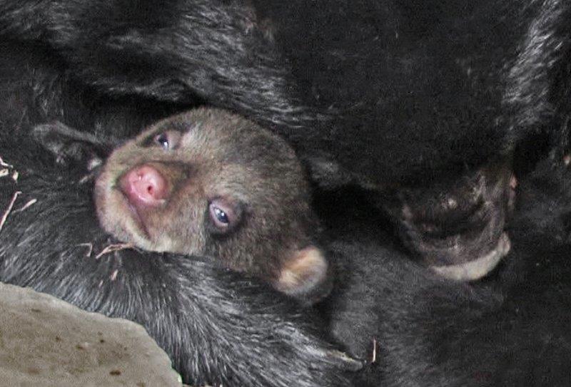 Lily with Mother June - 02-27-2007