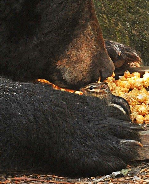 One-Eyed Jack - 06-28-2012