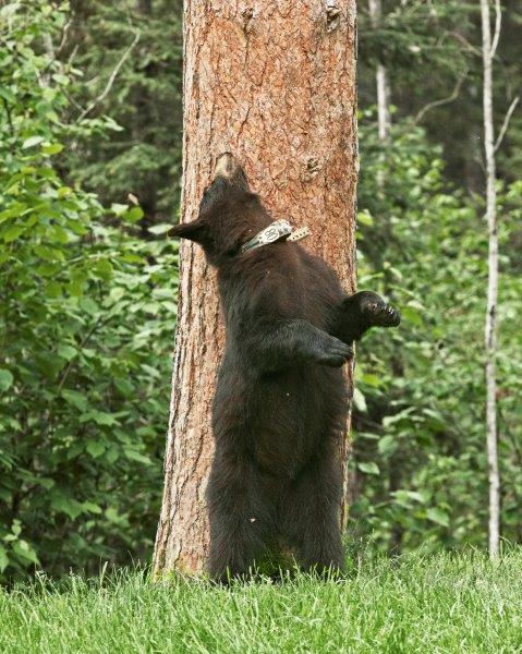 Faith Marking - June 15, 2012