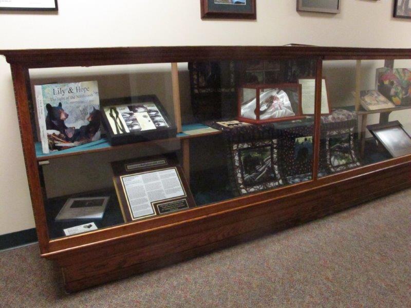 Case of collectibles