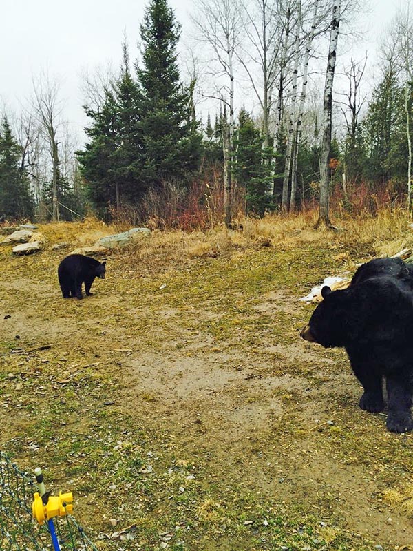 Holly approaching Ted