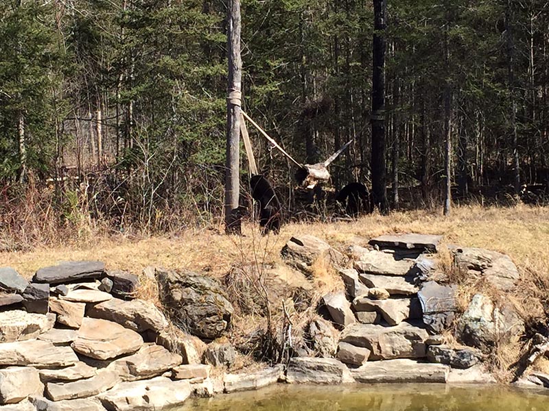 Holly with the firehose