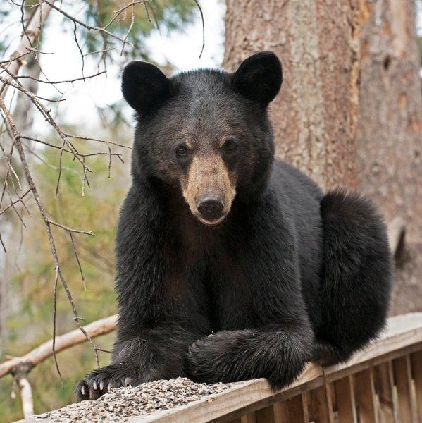 Photo of young male taken April 27, 2015