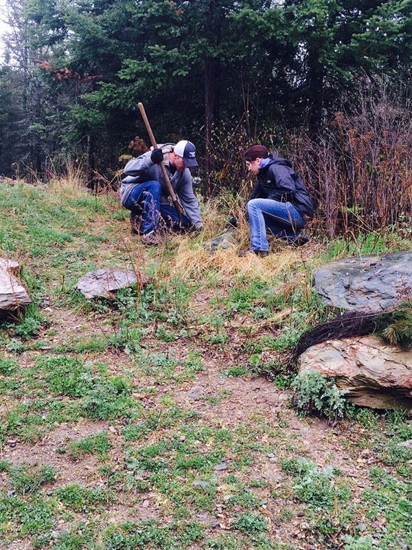 Brandon and Andie plant white pines