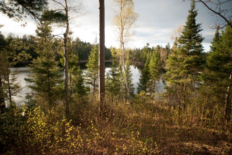 Woods Lake - May 10, 2015