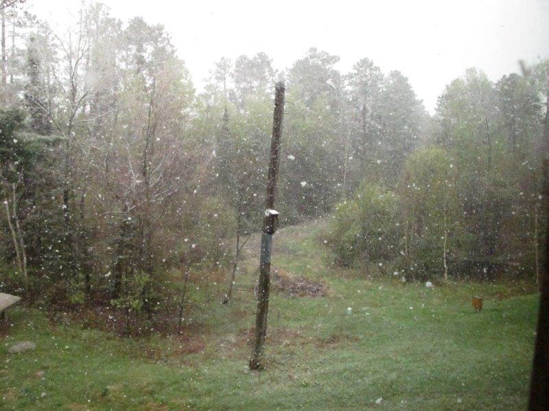 Late season snowstorm