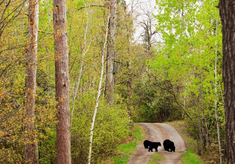 RC, Heinrik and Veronica