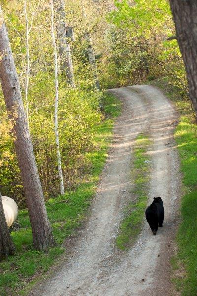 Samantha leaving without Aspen