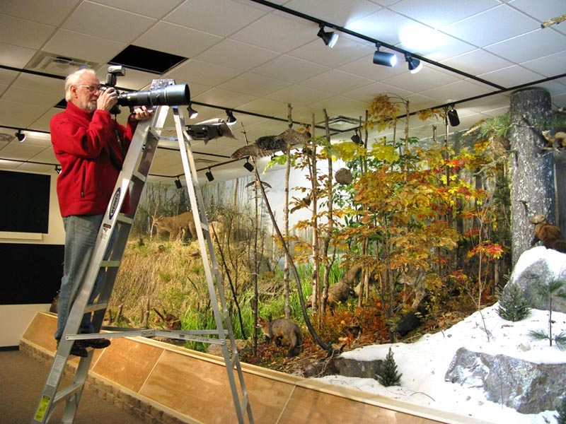 The Bearman taking photos