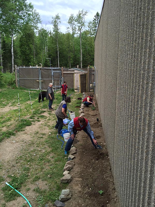 Planting garden at NABC