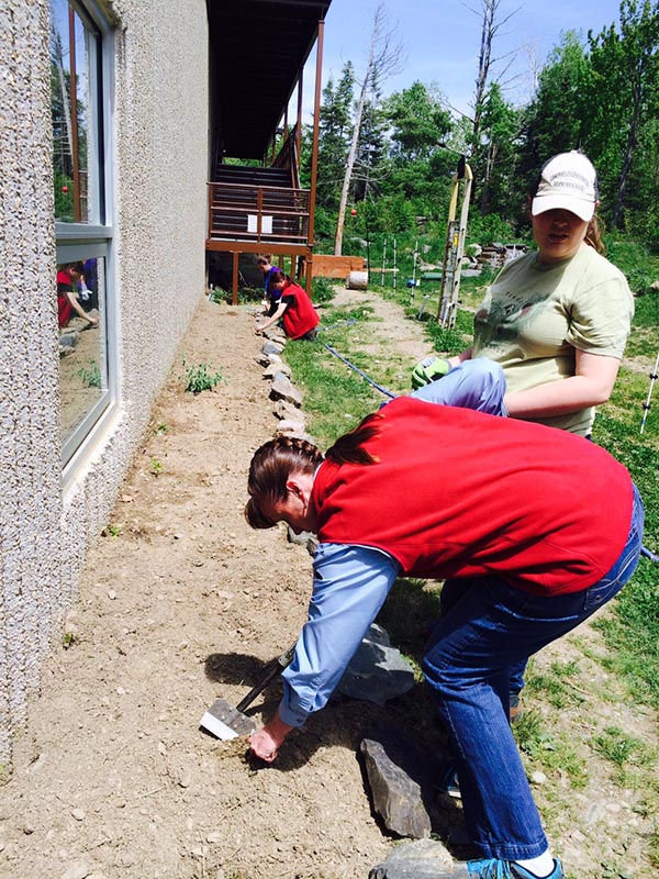 Encouraging pollination
