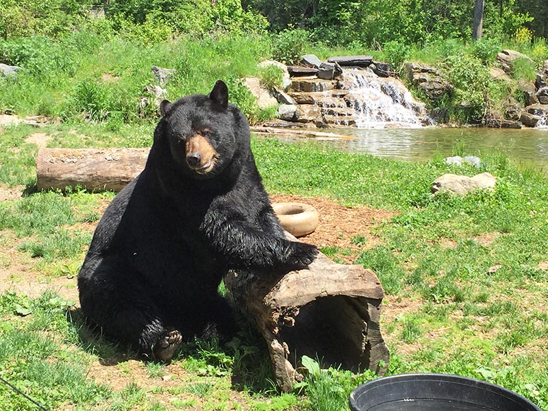 Another photo of handsome Ted