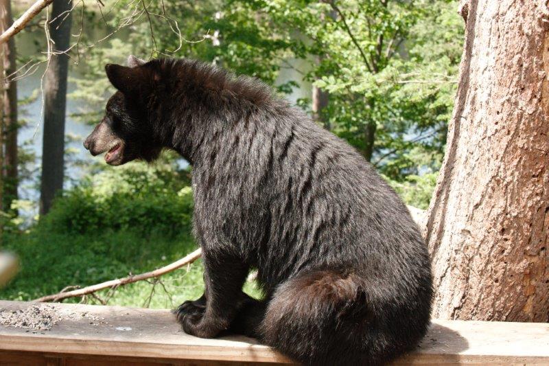 Mike alert toward direction Jewel came from