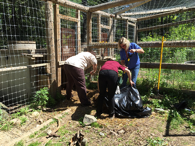 Cleaning Lucky's Den
