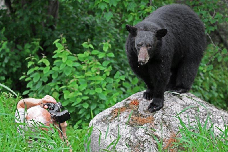 Lynn taking a photo of Fern