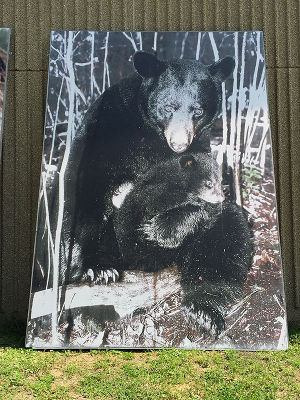 Faded photo taken down