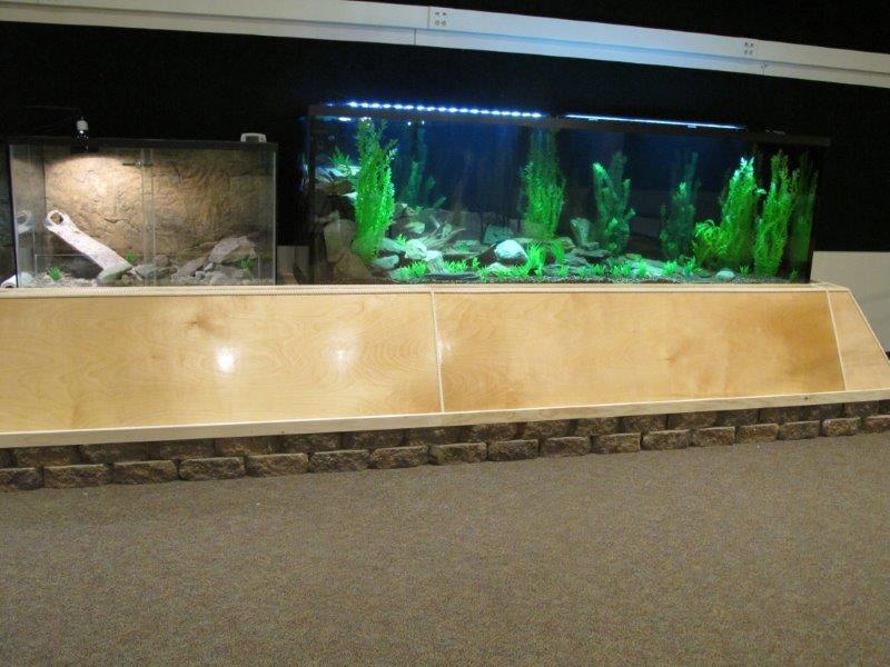 Aquarium