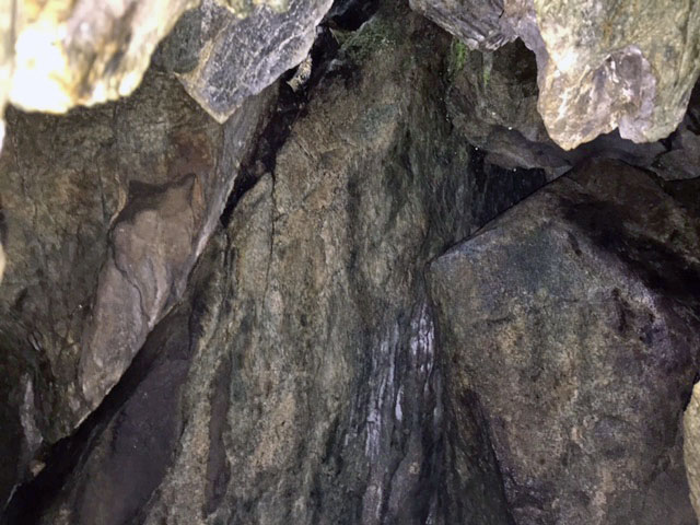 Looking down into the den