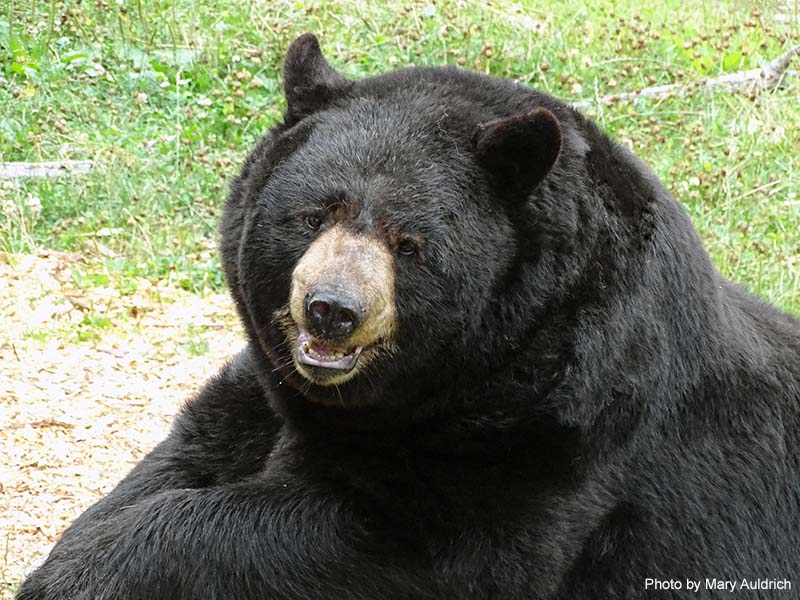 Ted - handsome as ever - July 24, 2015