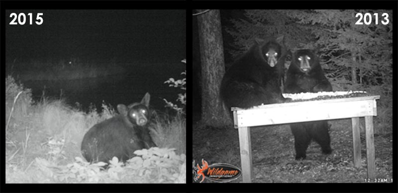 Cole and Ember on the right in 2013 - Could that be Cole in 2015?