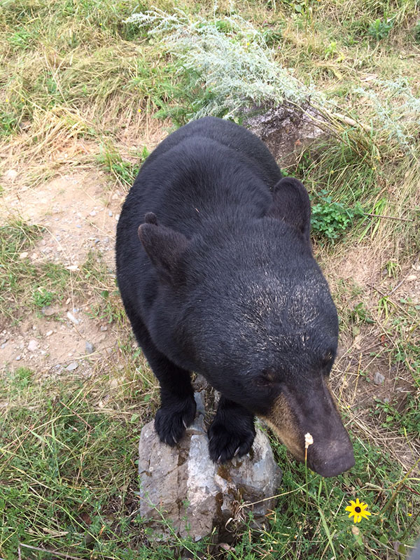 Holly with dirt on her face