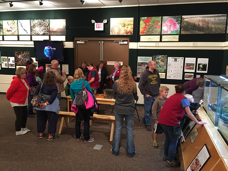 Frogs and Snakes and Turtles - oh my!