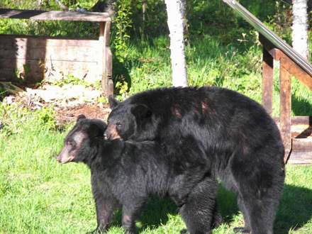 Fern with boyfriend earlier this summer