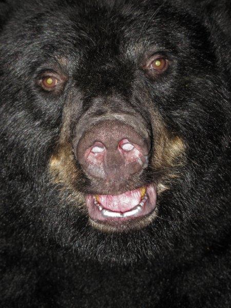 RC - evening of September 5, 2015