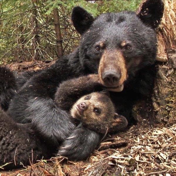 June and Lily in 2007