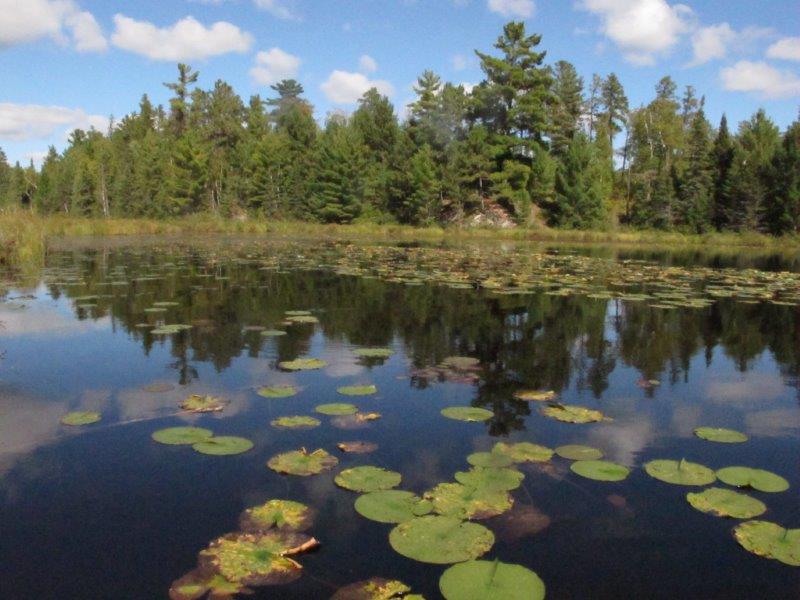 Lake home of beavers