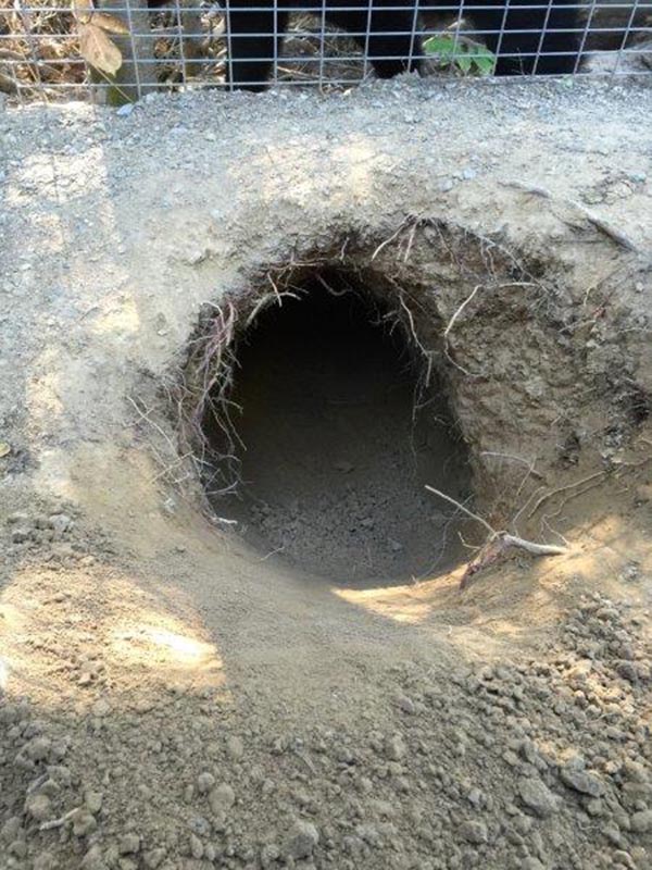 Holly's Den Entrance